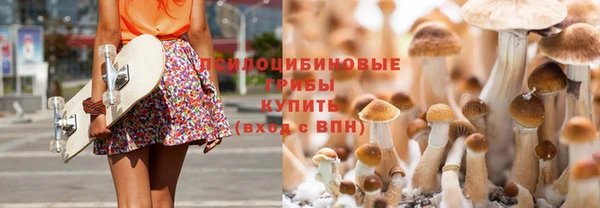 не бодяженный Алзамай