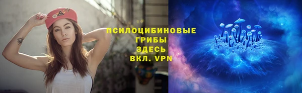 не бодяженный Алзамай