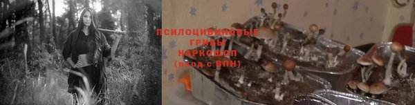 герыч Алексин