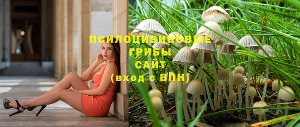 не бодяженный Алзамай