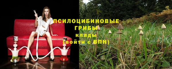 каннабис Алексеевка