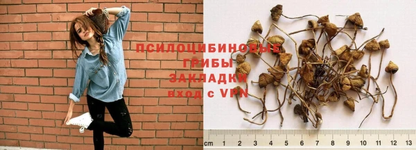 каннабис Алексеевка