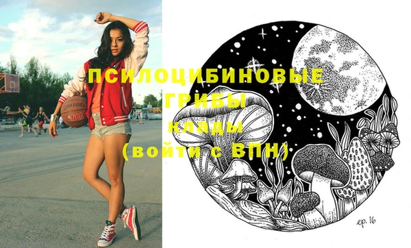 не бодяженный Алзамай